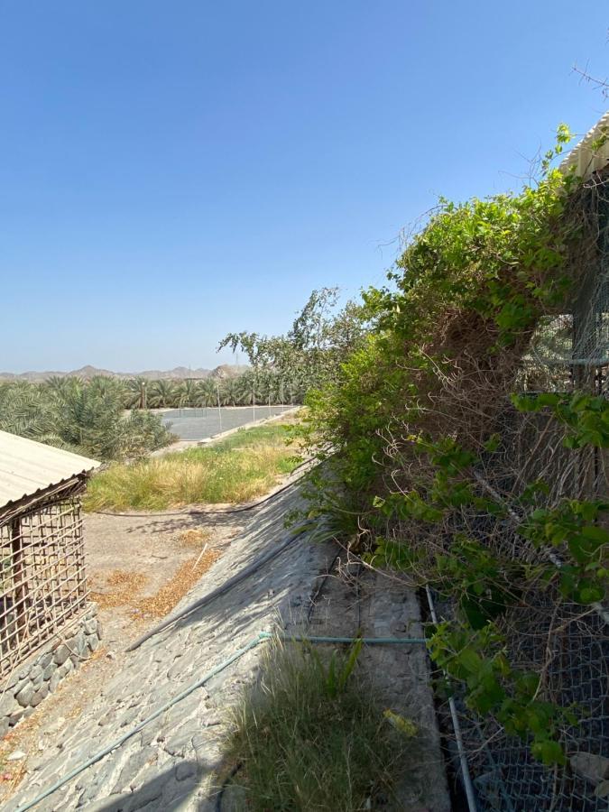 Вилла Uae Farm Qur Экстерьер фото